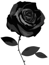 kisspng-black-rose-desktop-wallpaper-symbol-black-rose-5acbcda7bc2b97.5656581115233058957708